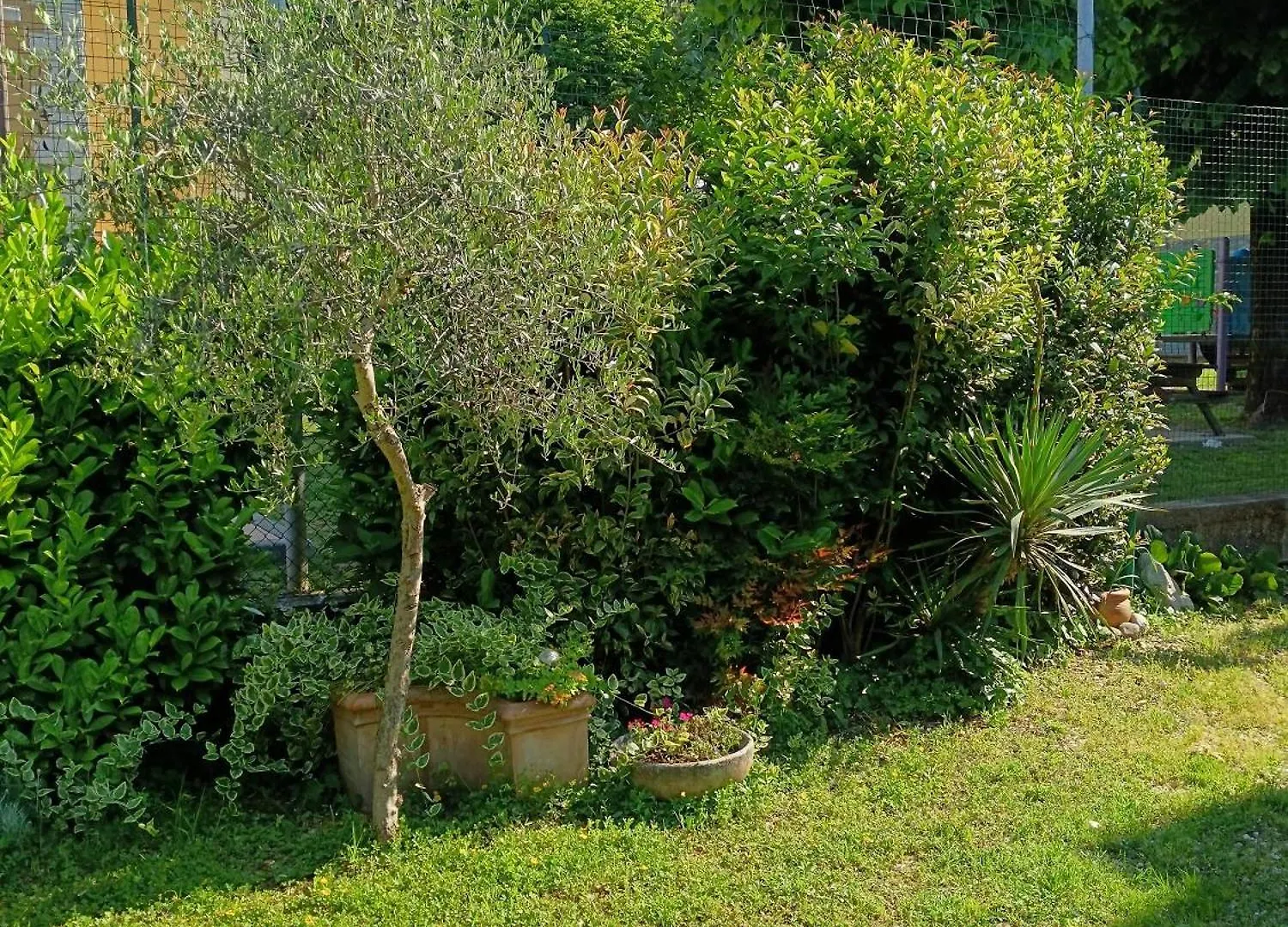 B&B Porte Rosse Solferino Italy